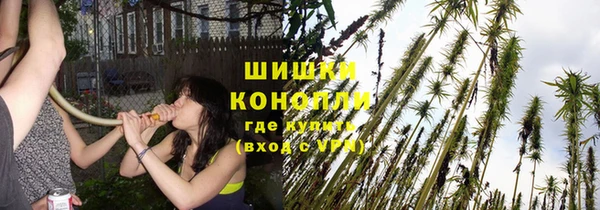 первитин Вяземский