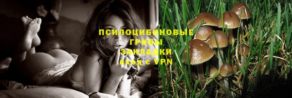 первитин Вязьма